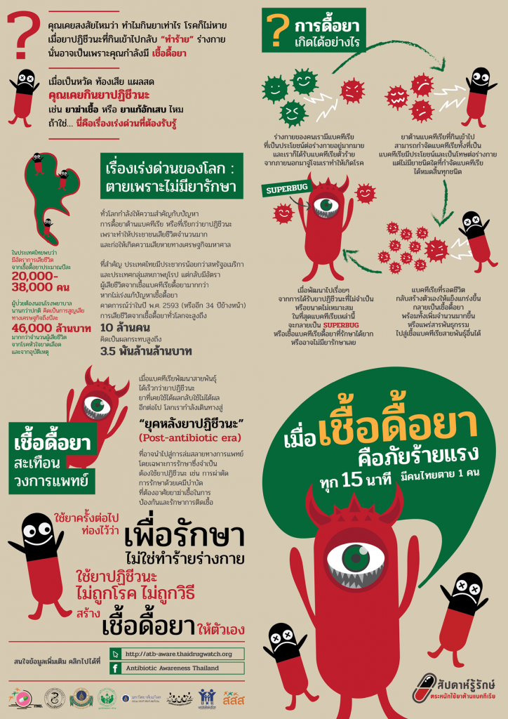 thaihealth_factsheet_page1-copy